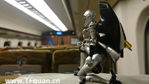 夜莺-出自TFquan.cn