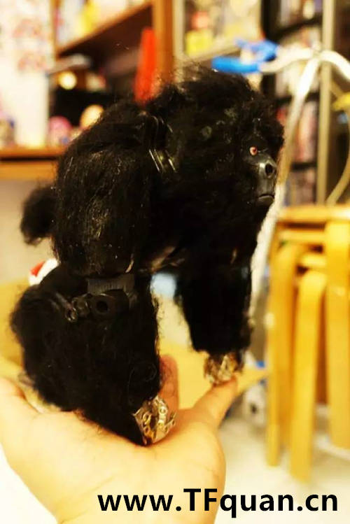 迷友DIY—带毛的猩猩队长2.jpg