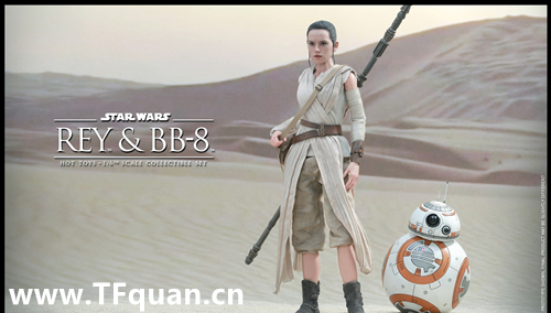 HotToys新品 星球大战7- MMS336 雷伊Rey 单售版 & MMS337 雷伊+ BB-8套装 3.jpg