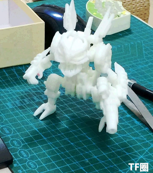 变形金刚 铁蝗虫 12.jpg