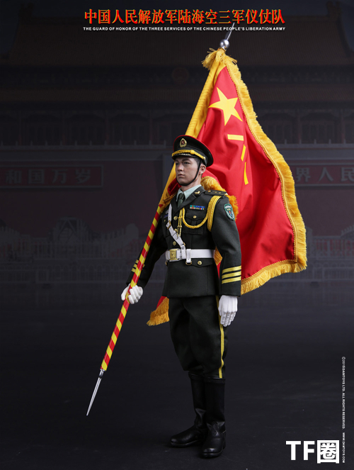 DAMTOYS 中国人民 *** - 陆海空三军仪仗队 4.jpg