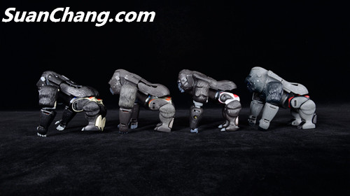 【第三方新品牌TransArt Toys】 CC-01 黑猩猩 18.jpg