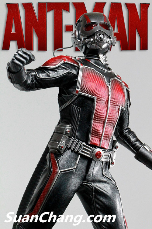 HotToys MMS308《蚁人 Ant-Man》 4.jpg