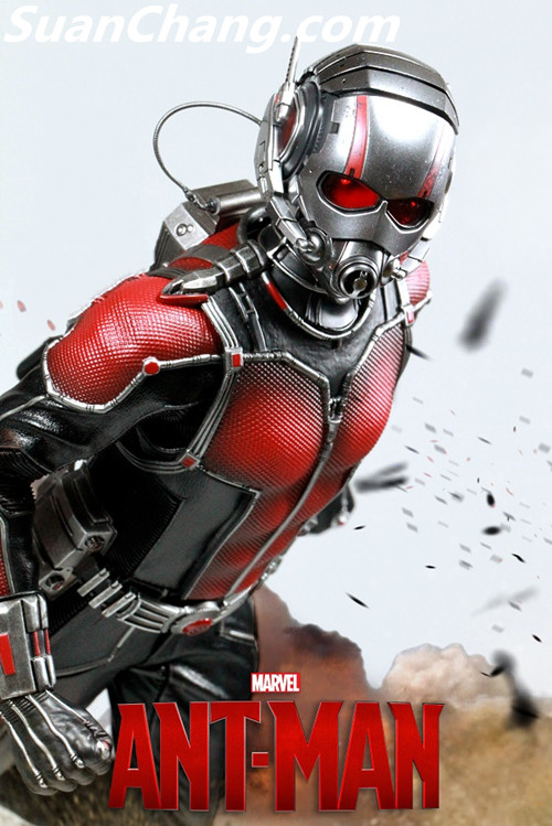 HotToys MMS308《蚁人 Ant-Man》 6.jpg