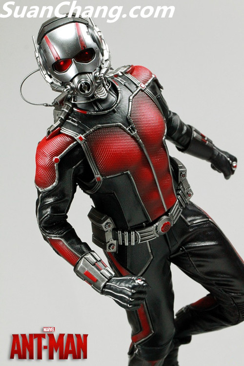 HotToys MMS308《蚁人 Ant-Man》 7.jpg