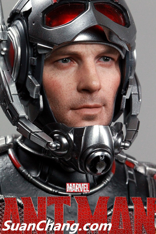 HotToys MMS308《蚁人 Ant-Man》 9.jpg