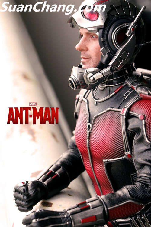 HotToys MMS308《蚁人 Ant-Man》 10.jpg