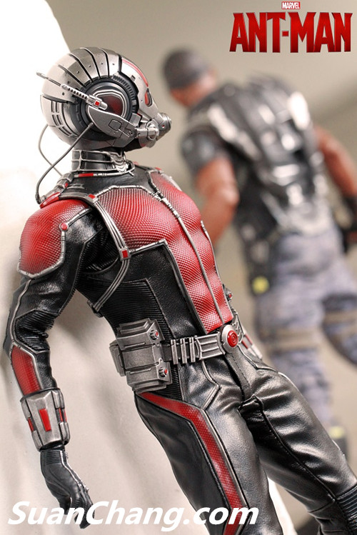 HotToys MMS308《蚁人 Ant-Man》 11.jpg
