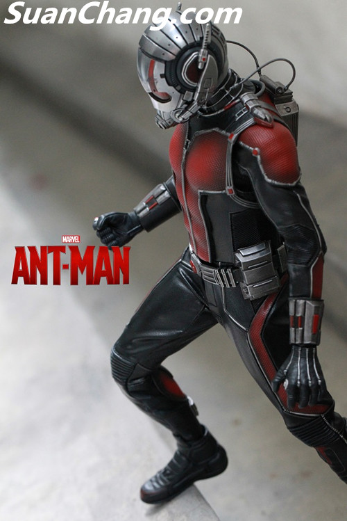 HotToys MMS308《蚁人 Ant-Man》 13.jpg