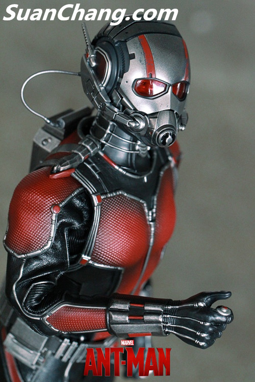 HotToys MMS308《蚁人 Ant-Man》 14.jpg