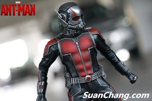 HotToys MMS308《蚁人 Ant-Man》 15.jpg