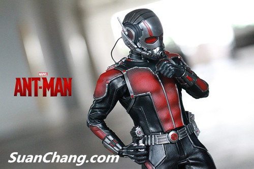 HotToys MMS308《蚁人 Ant-Man》 16.jpg