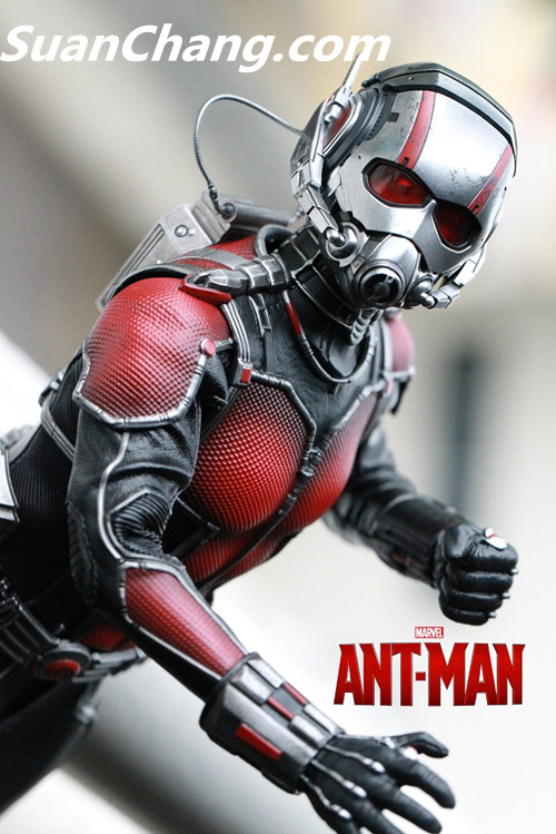 HotToys MMS308《蚁人 Ant-Man》 17.jpg