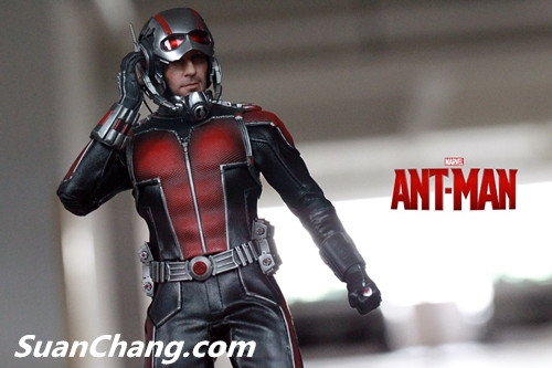 HotToys MMS308《蚁人 Ant-Man》 18.jpg