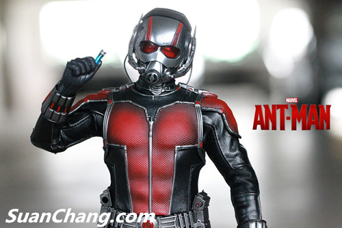 HotToys MMS308《蚁人 Ant-Man》 19.jpg