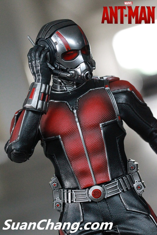 HotToys MMS308《蚁人 Ant-Man》 20.jpg