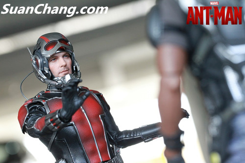 HotToys MMS308《蚁人 Ant-Man》 21.jpg