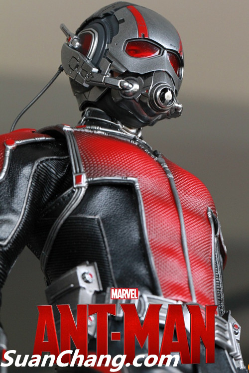 HotToys MMS308《蚁人 Ant-Man》 22.jpg