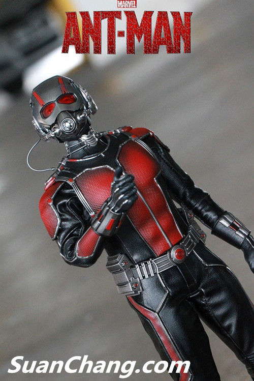 HotToys MMS308《蚁人 Ant-Man》 23.jpg