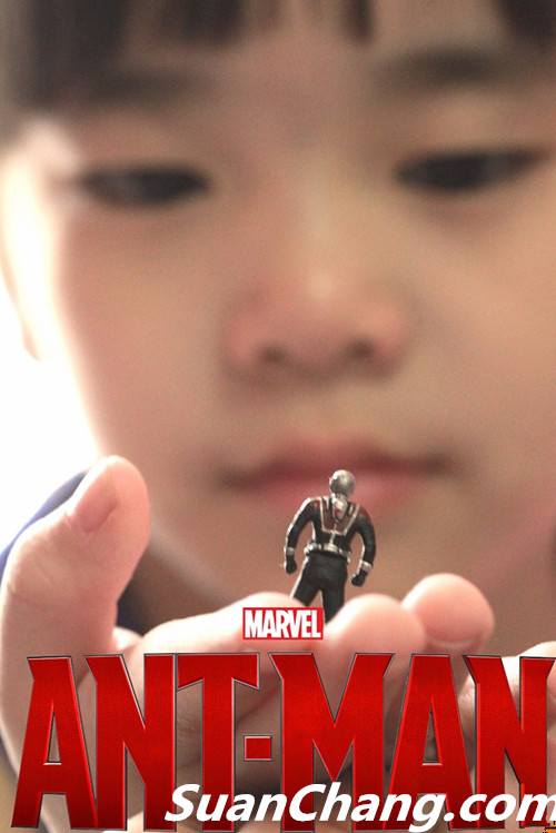 HotToys MMS308《蚁人 Ant-Man》 24.jpg