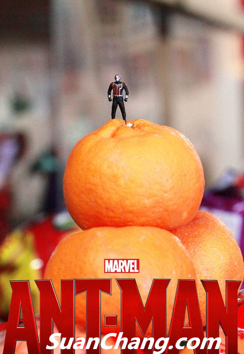 HotToys MMS308《蚁人 Ant-Man》 25.jpg