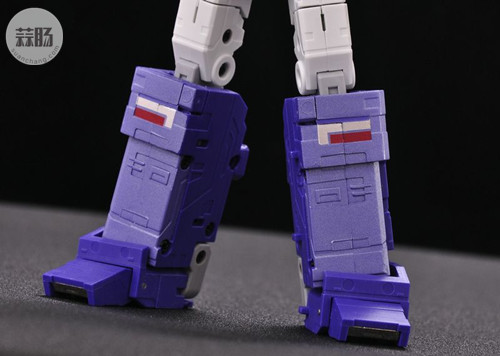 FansToys11 照相机 30.jpg