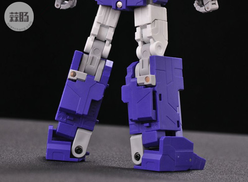 FansToys11 照相机 31.jpg