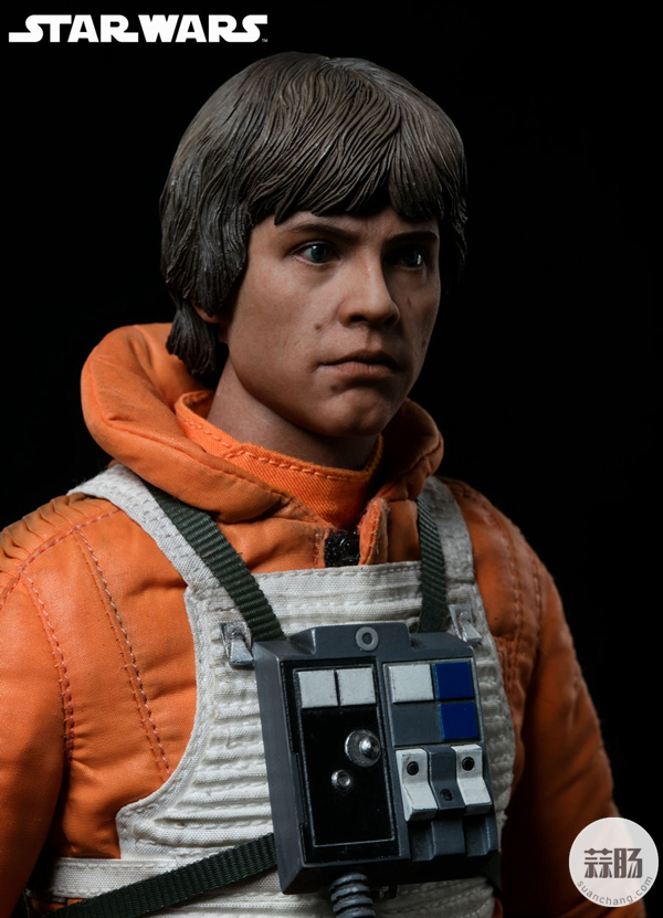 Sideshow 星战- 天行者 卢克LUKE -雪地战机飞行员版 11.jpg