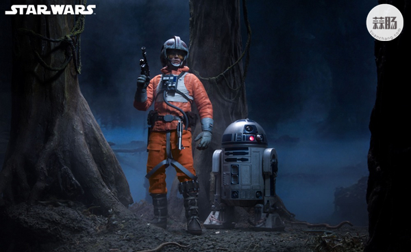 Sideshow 星战- 天行者 卢克LUKE -雪地战机飞行员版 12.jpg