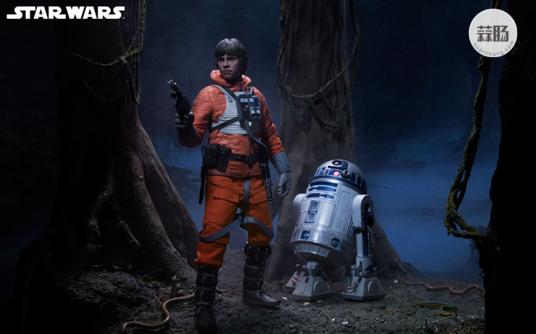 Sideshow 星战- 天行者 卢克LUKE -雪地战机飞行员版 13.jpg