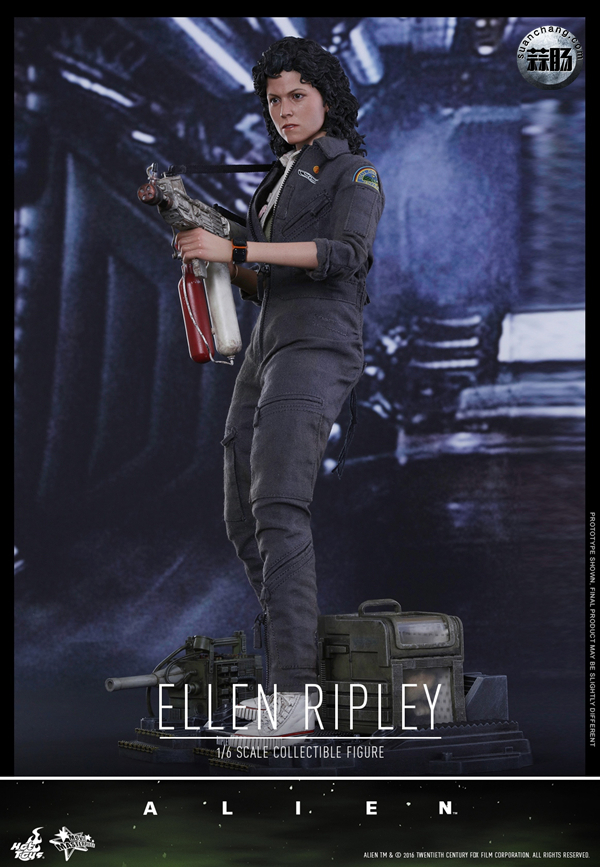 HotToys 新品MMS366《异形》- 女主角 雷普莉 Ellen Ripley 与小猫 2.jpg