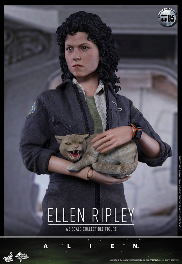 HotToys 新品MMS366《异形》- 女主角 雷普莉 Ellen Ripley 与小猫 11.jpg