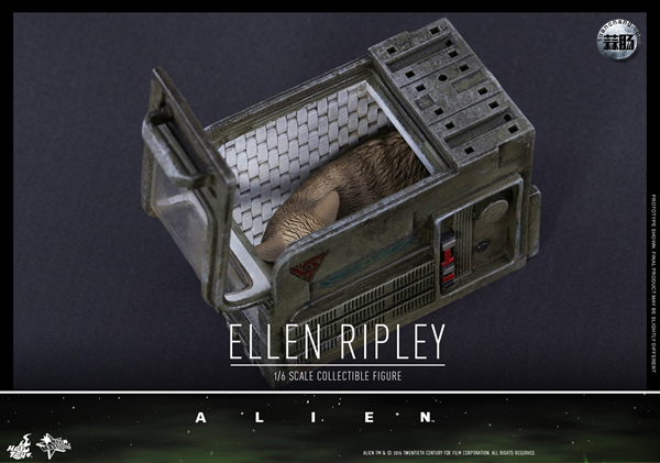 HotToys 新品MMS366《异形》- 女主角 雷普莉 Ellen Ripley 与小猫 12.jpg