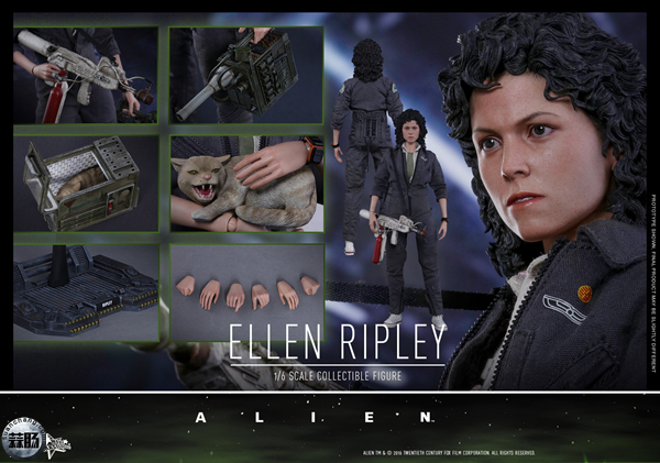 HotToys 新品MMS366《异形》- 女主角 雷普莉 Ellen Ripley 与小猫 14.jpg