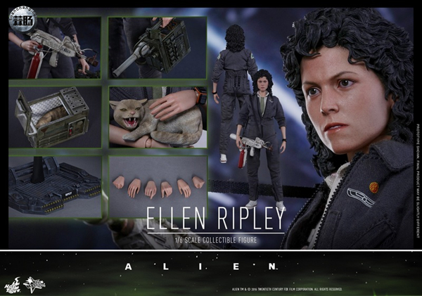 HotToys 新品MMS366《异形》- 女主角 雷普莉 Ellen Ripley 与小猫 15.jpg