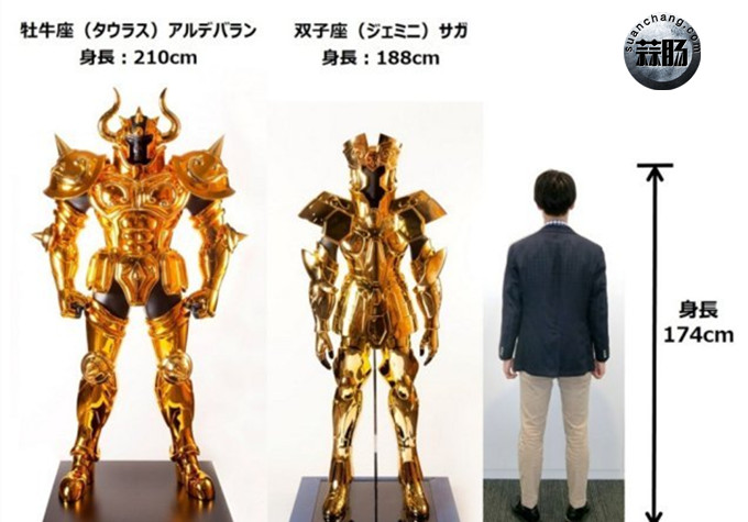 圣斗士30周年展-3