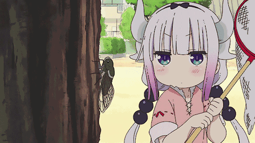 71e49d8d816a49fb8b65a01880f1ebce_th.gif