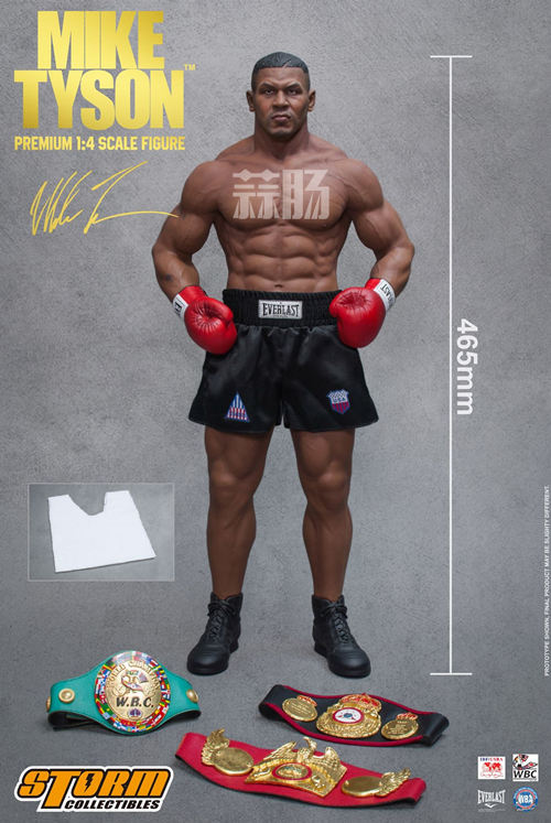 Storm Toys拳王 8.jpg Storm Toys拳王 8.jpg