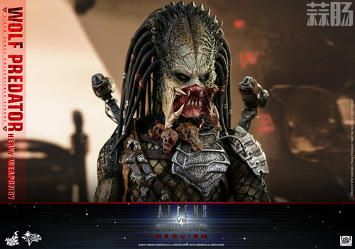 《异兽战2》1:6比例Wolf Predator (重装版) 珍 *** 偶 8.jpg 《异兽战2》1:6比例Wolf Predator (重装版) 珍 *** 偶 8.jpg