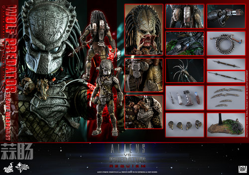 《异兽战2》1:6比例Wolf Predator (重装版) 珍 *** 偶 10.jpg 《异兽战2》1:6比例Wolf Predator (重装版) 珍 *** 偶 10.jpg