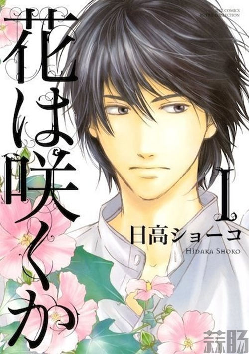 又一漫画决定真人化 《不知花开否》真人电影化决定 2.jpg 又一漫画决定真人化 《不知花开否》真人电影化决定 2.jpg