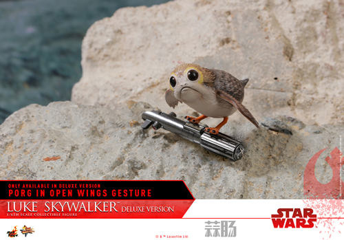 Hot Toys - Star Wars - Luke Skywalker collectible figure (Deluxe)_PR16_副本.jpg Hot Toys - Star Wars - Luke Skywalker collectible figure (Deluxe)_PR16_副本.jpg