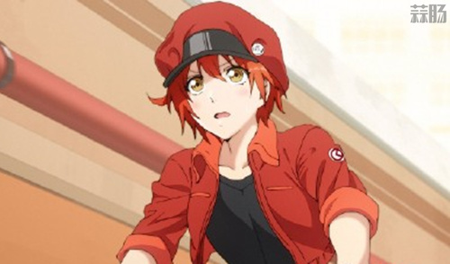 9fc9de01ly1fnsu6p3mhrj20xc0irtay_副本.jpg