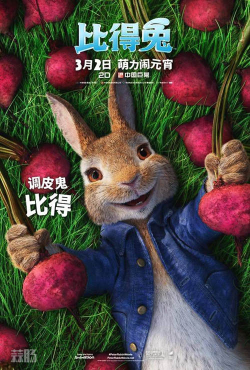 18d8bc3eb13533fa40aa471ca4d3fd1f41345be0_副本.jpg 18d8bc3eb13533fa40aa471ca4d3fd1f41345be0_副本.jpg