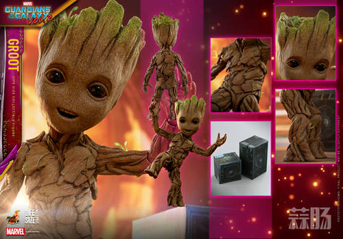 Hot Toys - GOTG2 - Groot Life-size Collectible Figure_PR12_副本.jpg