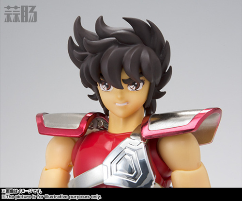 万代圣斗士士圣衣神话 天马座星矢官图公布 7.jpg