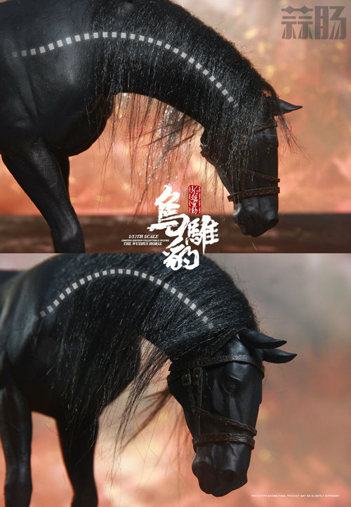 张飞官图公布 10.jpg