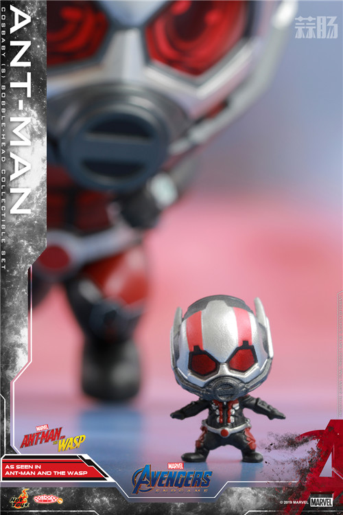 Hot Toys - A4 - Ant-Man COSBABY Set_PR3.jpg