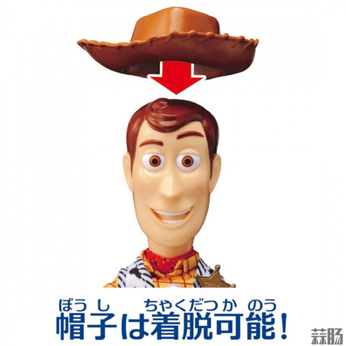 725a9e8dgy1g6rdi6z3maj20rs0rsacn_副本.jpg