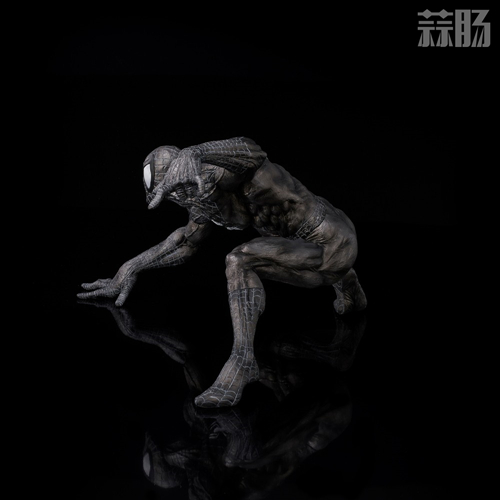 蜘蛛侠 7.jpg